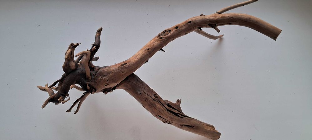 Коряга в аквариум