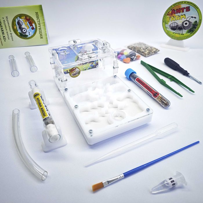 Муравьиная ферма - Муравьи жнецы ||| ГИПСОВЫЙ Формикарий "START"