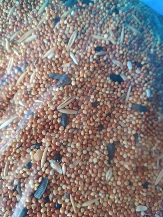 Корм и аксессуары