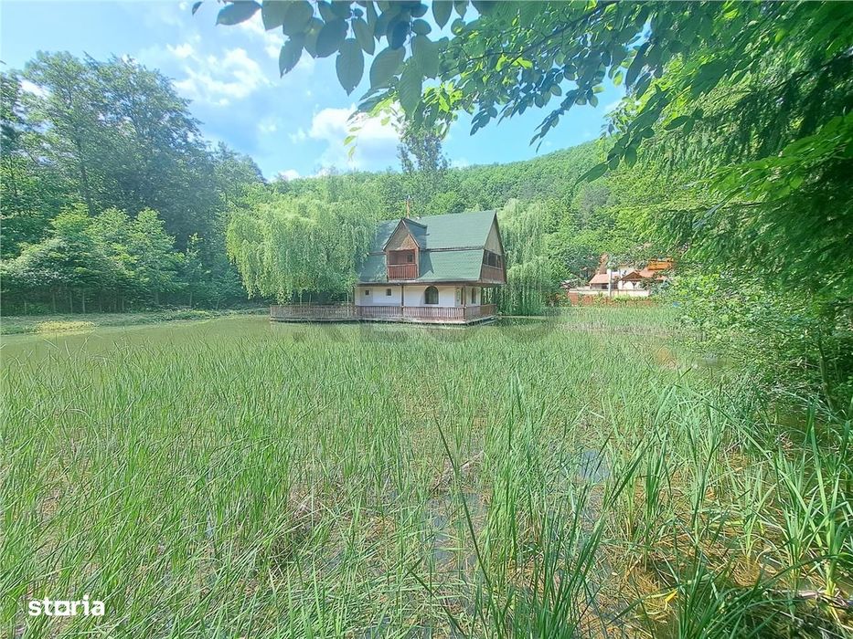 RECO, Cabana pe apa in Padurea Neagra, Bihor