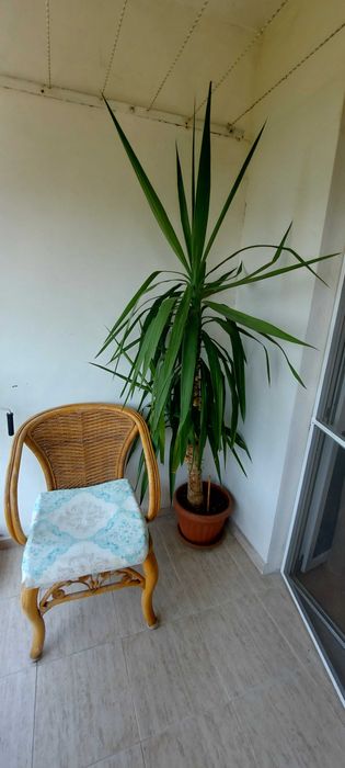 Продава се Четиристаен апартамент в Хасково, Любен Каравелов - 100 кв.м за 1275 €/кв.м - Снимка #10