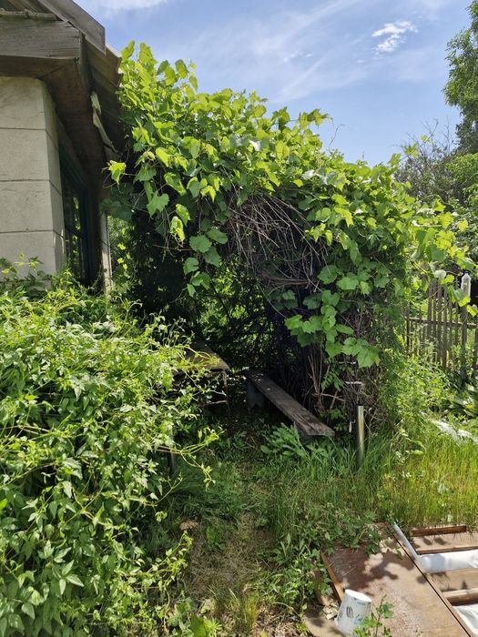 Продам дачу садоводство Металлург