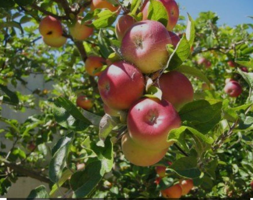 Vă așteptăm cu poftă și cu dragoste