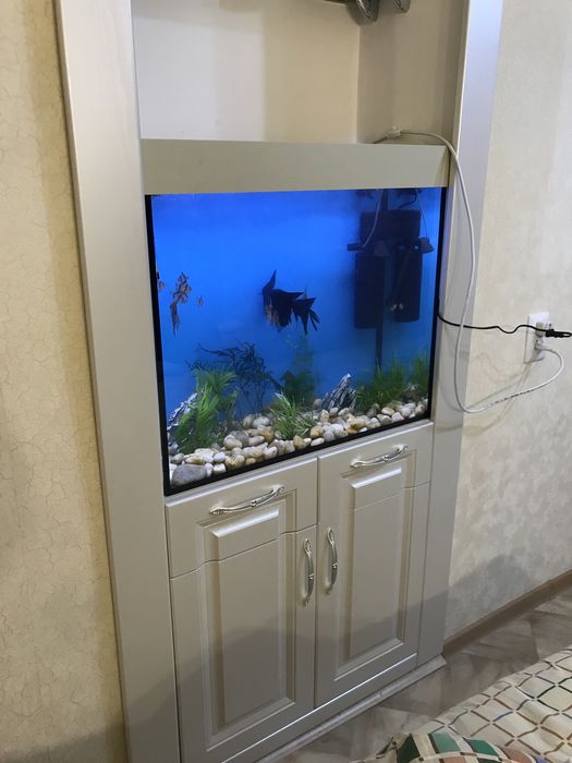 Изготовление аквариумов под ключ