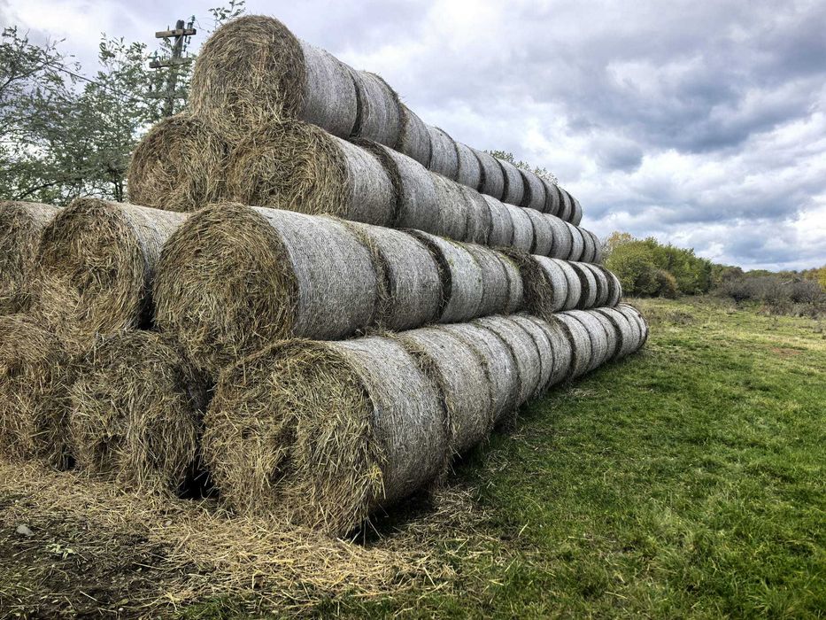 Baloți paie de grau