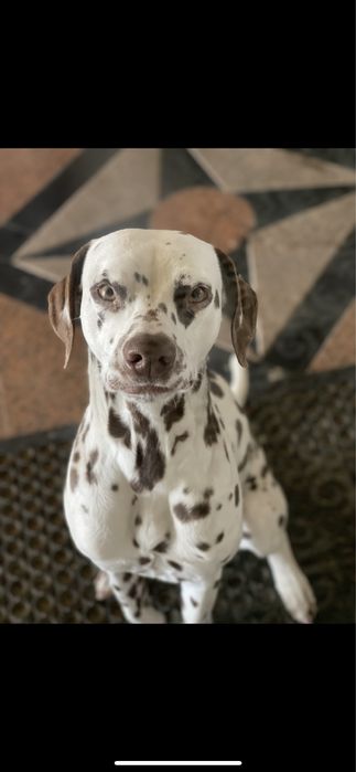 Ищем жениха