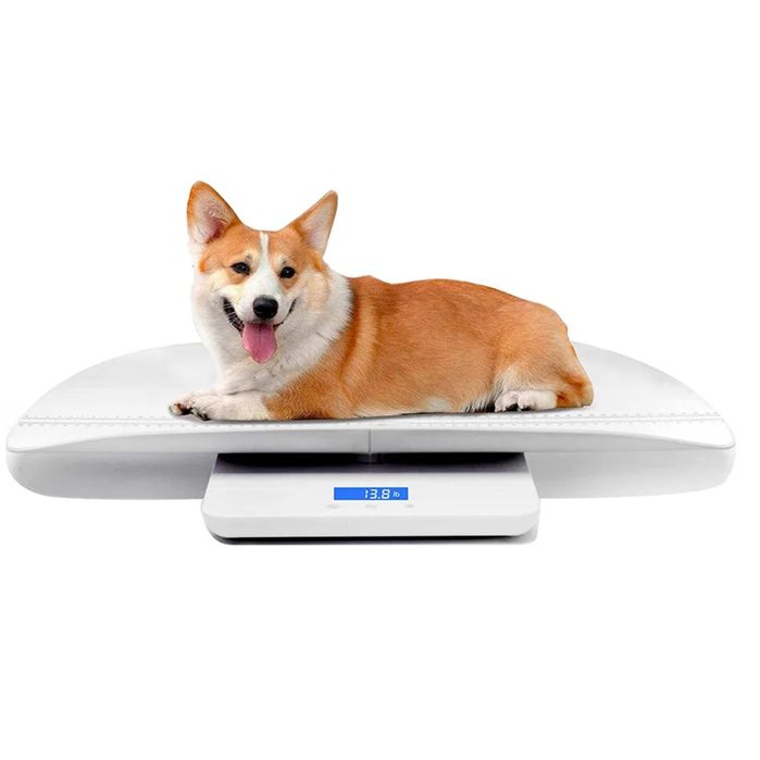 Весы 100кг для детей и взрослых универсальные! Без гарантити