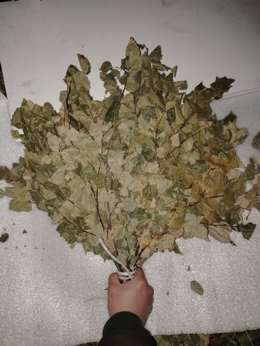 Продам берёзовые банные веники