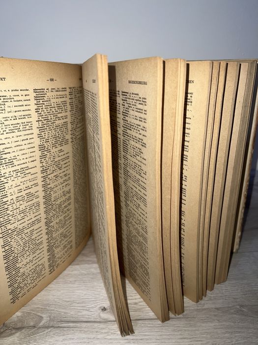 Dictionar Germna-Român