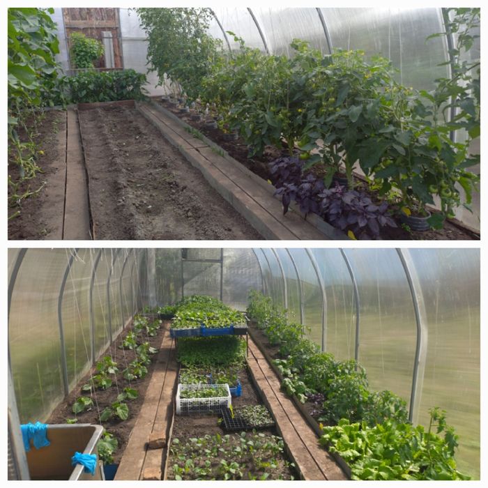 Продам корпус теплицы размер 3м × 8м