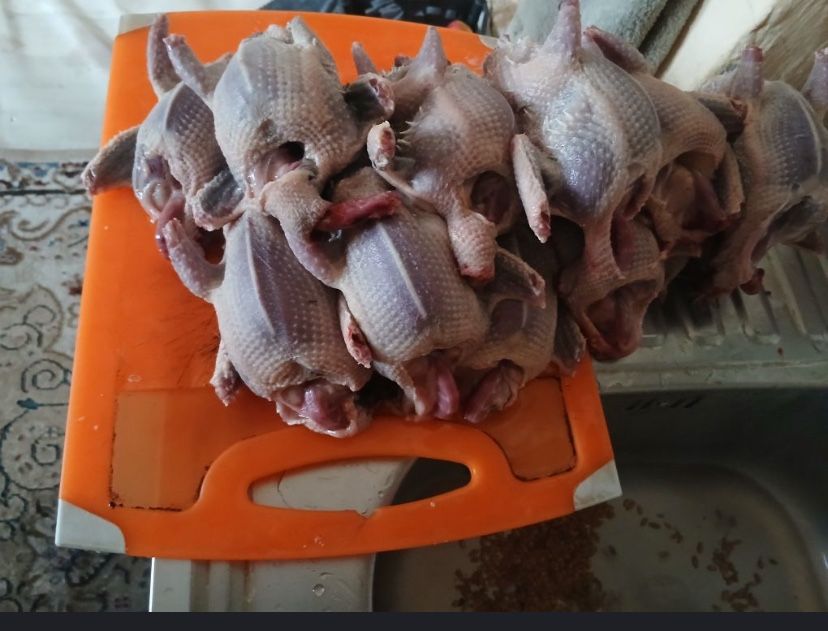 Кептер еті сатылады