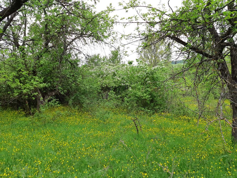 Продавам къща с парцел
с. Звезда, Търговище