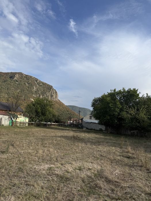 Teren Mehadia 4400 mp - 8 euro mp