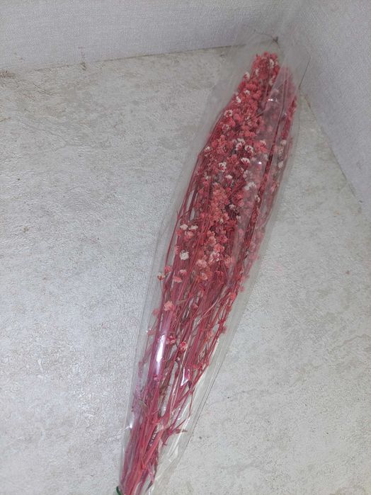 Сухоцветы лаванда