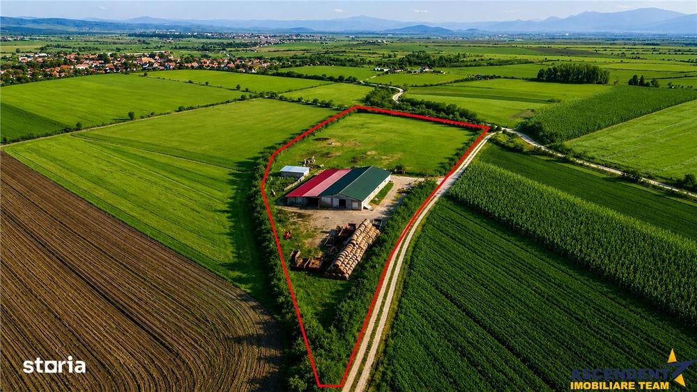FILM! 18.000 mp, extravilan, agricol+ constructii:ferma,investitii agr
