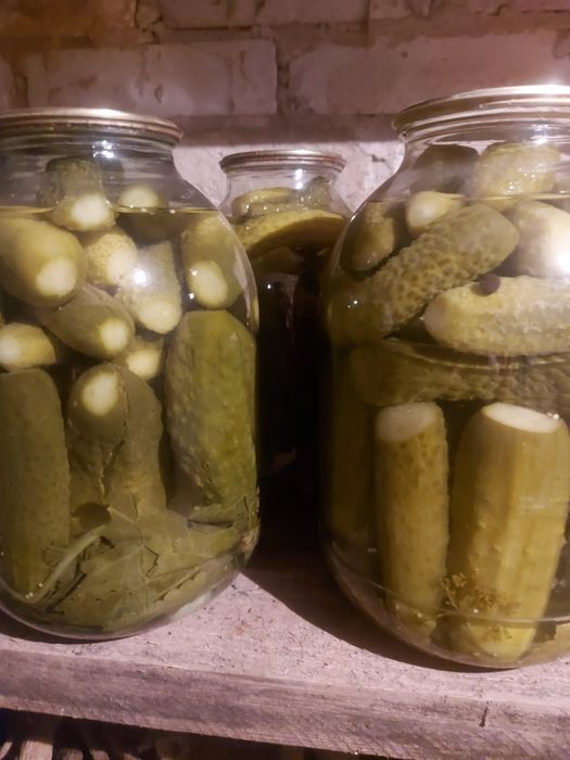 Соления  заготовки