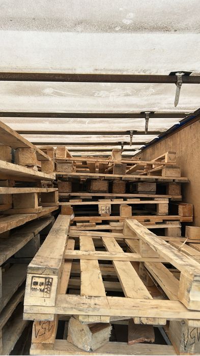 Поддоны штучно 800 оптом 500