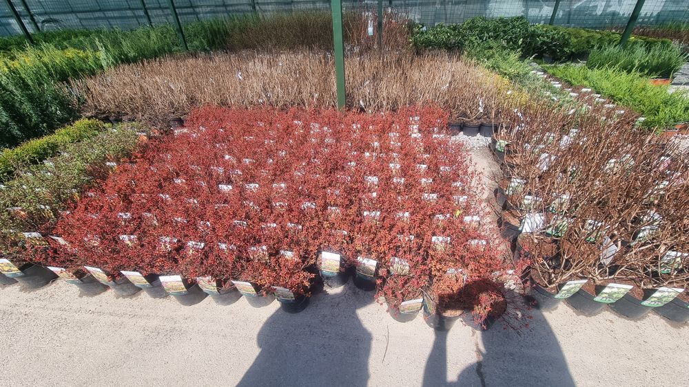 Ландшафтный дизайн