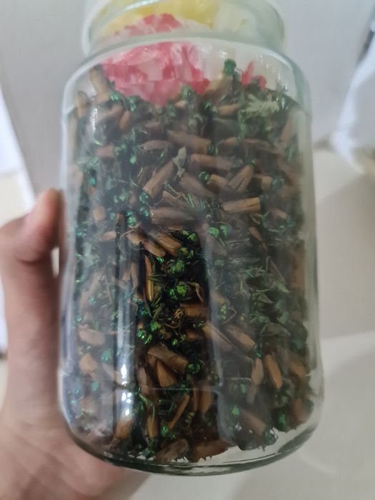 простатитты емдеу методы Актобе