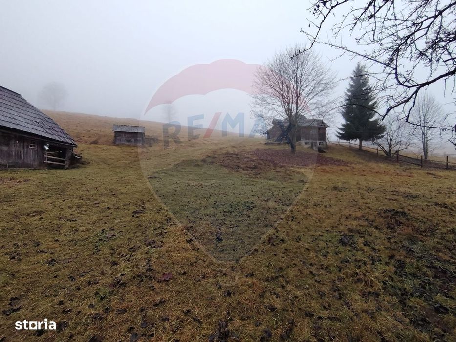 Teren INTRAVILAN 23.238m.p. Dorna-Arini / Cozănești