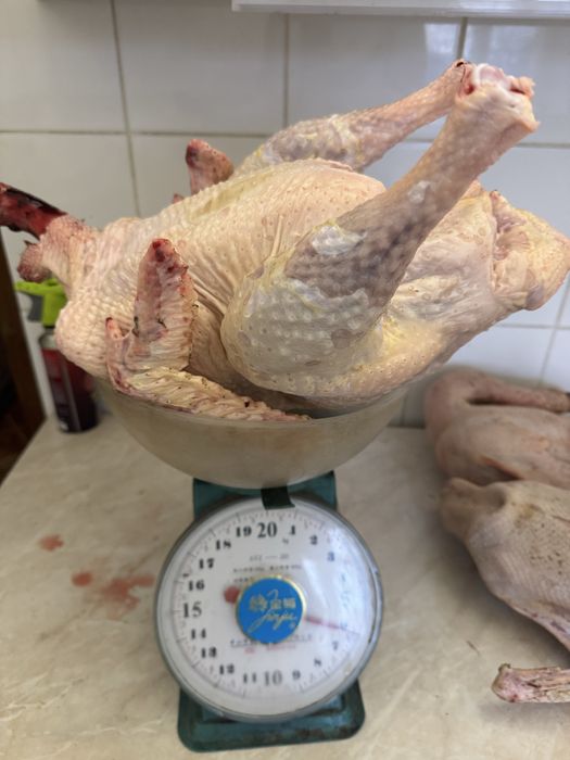 Домашний бройлер