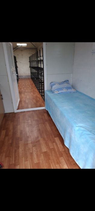 Camion Apicol Mercedes Atego cu albine