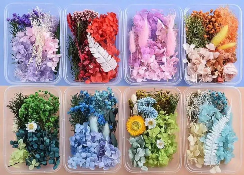 Сухоцветы. Курутилган гуллар