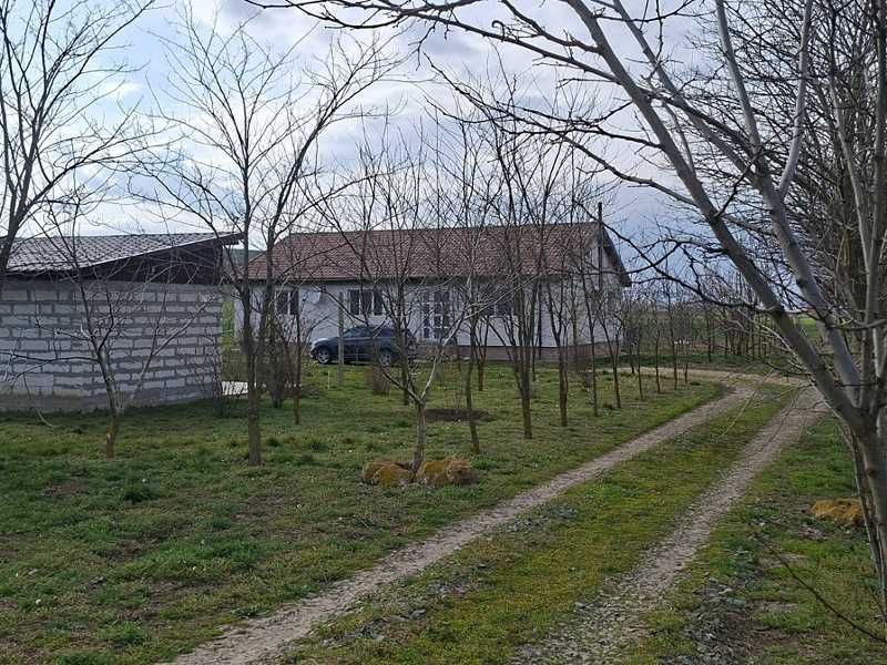 Vând fermă 9Ha, comuna Peștera,  județul Constanța