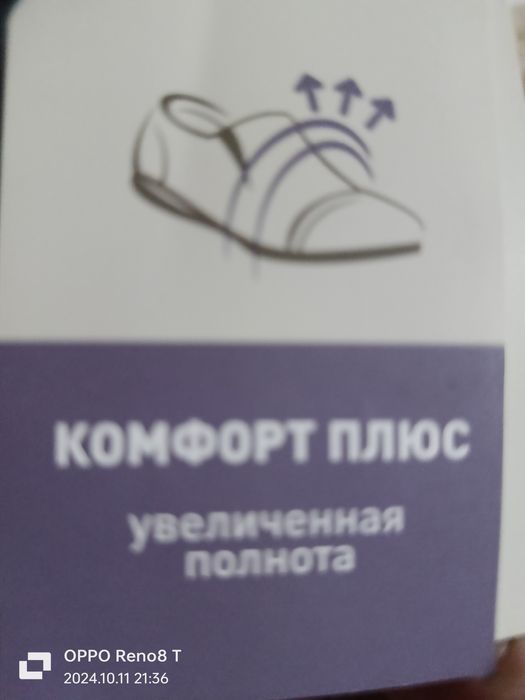 Сапоги демисизонные