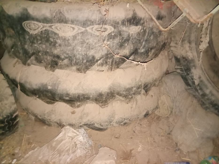 Bu balonlar bar traktordin baxasi 150000 som 6 Dana bar