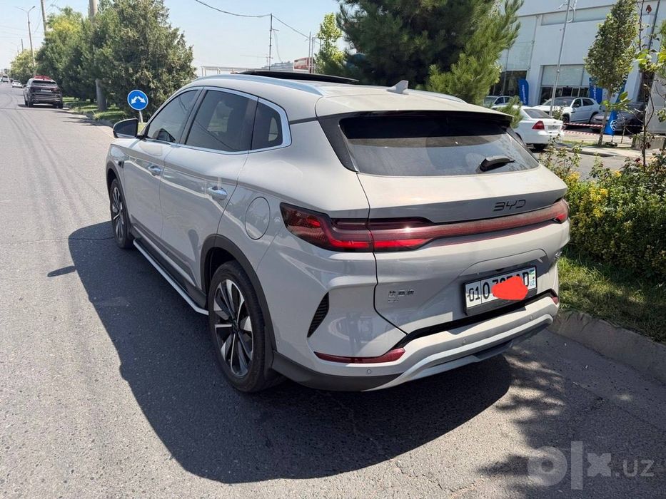 Byd champion smart
