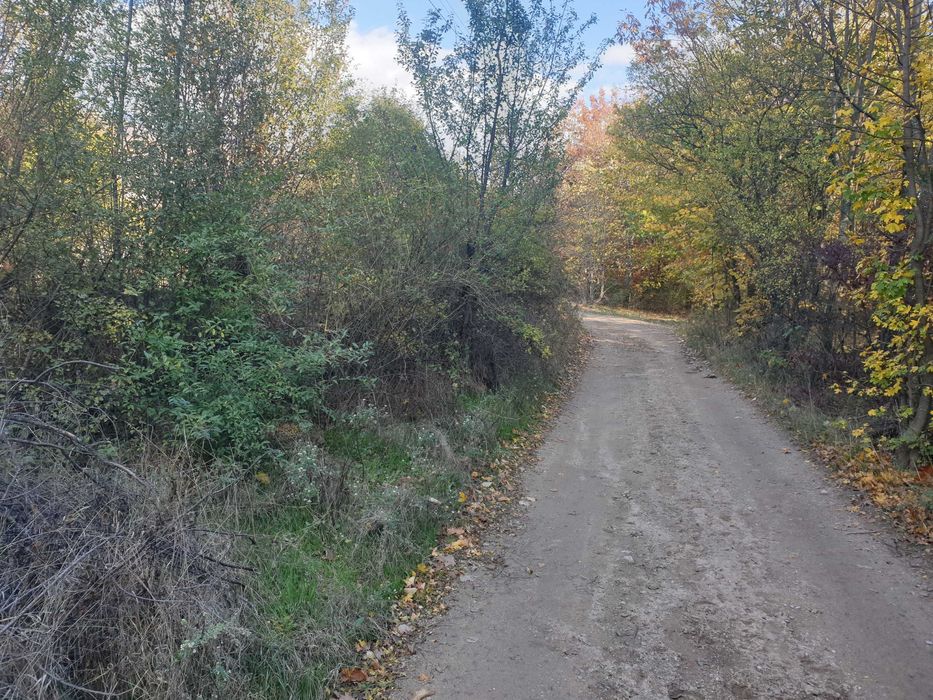 Продава се Парцел в Карлово - 1804 кв.м за 30 €/кв.м - Снимка #4