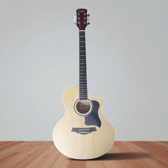 Chitara electro acustica Sound Zone + Husa