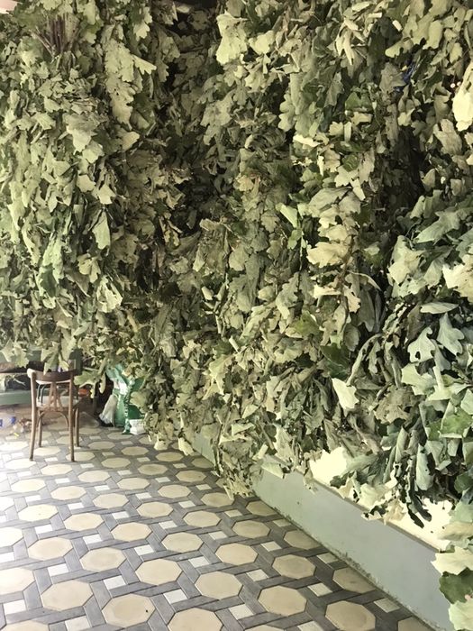 Веники- Дубовые, березовые и липовые; эфирные масла для бани и сауны