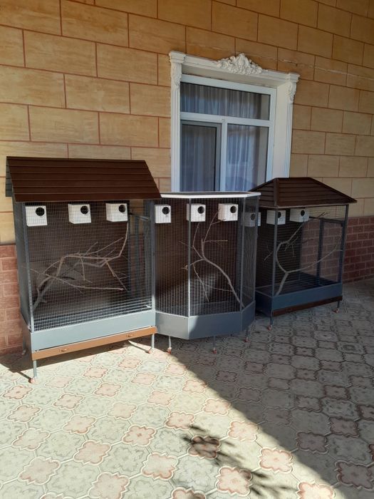 Кустарга клетка сатылады