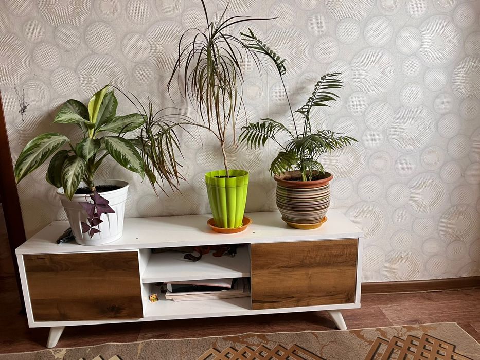 Тумба,шкаф,шкаф под телевизор