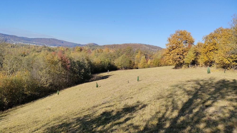 Teren zona Bran Tohanita!