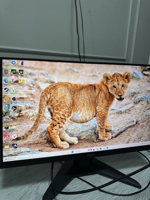 Монитор MSI MAG 244F