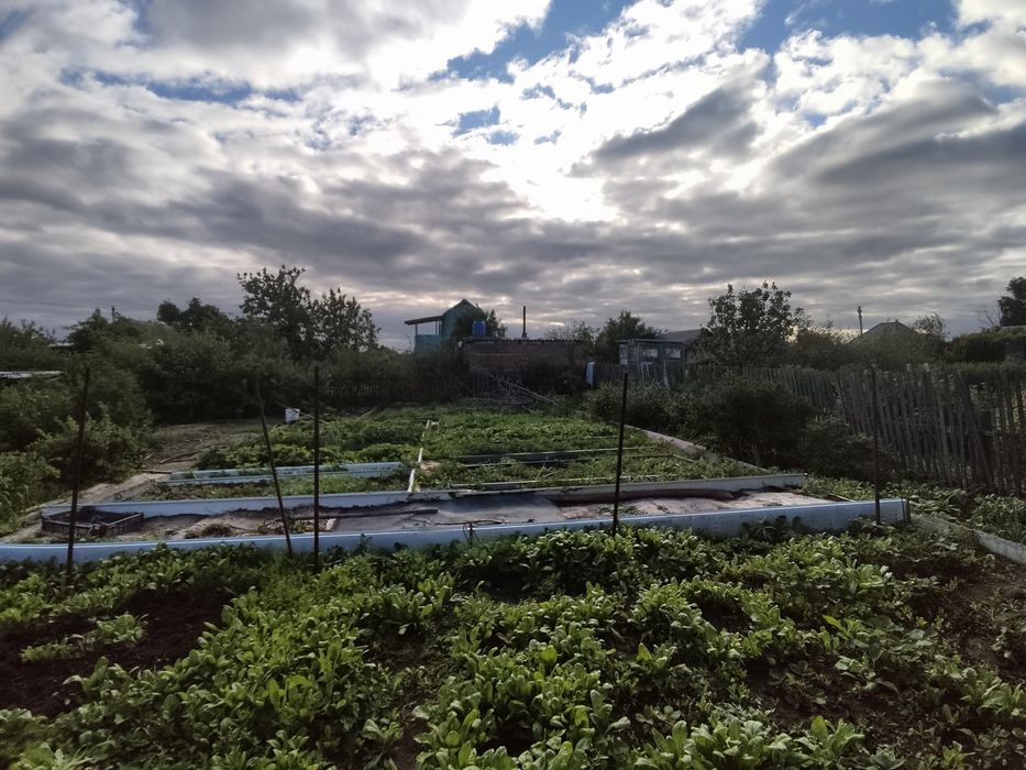 Дачный участок,  6.5 соток