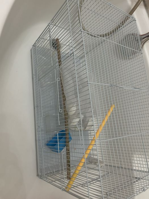 Клетки для попугаев