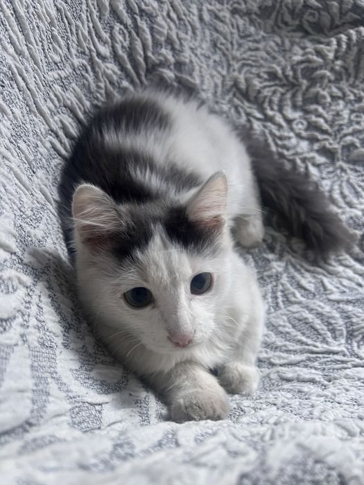 малыш нуждается в доме