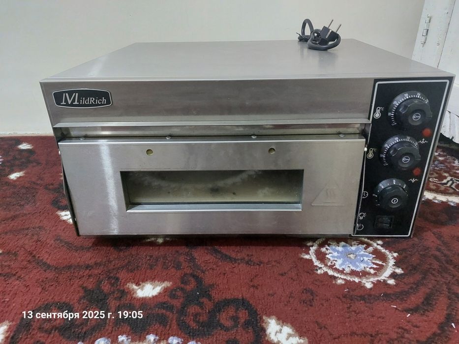 Mildrich Pitsa pech toshlik 220v