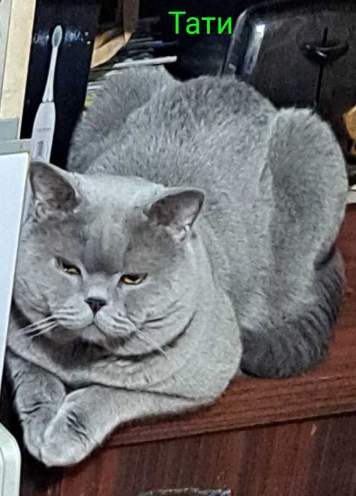 Британски принцеси