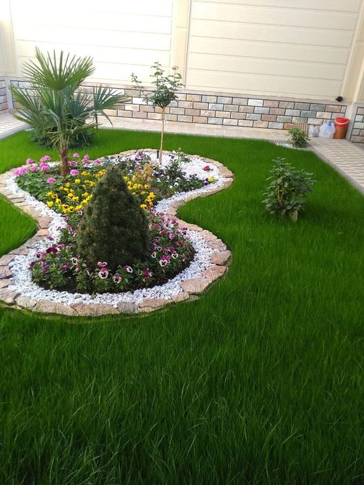 Газон ландшафтный дизайн