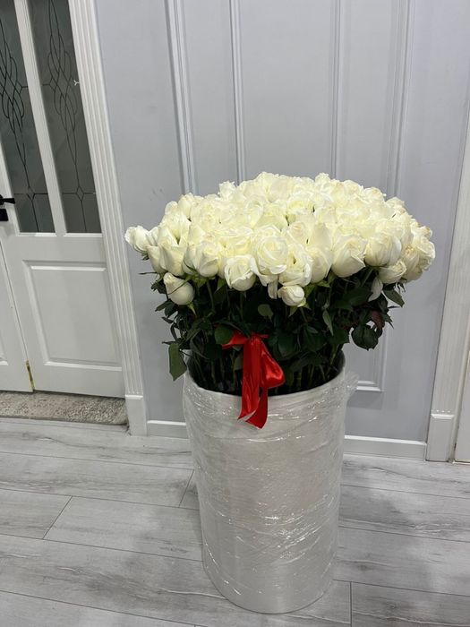 Цветы  голадские розы