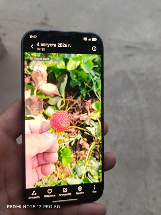 Xonor 600 lite 5G  yengi