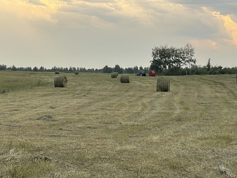 Продам сено рулонный