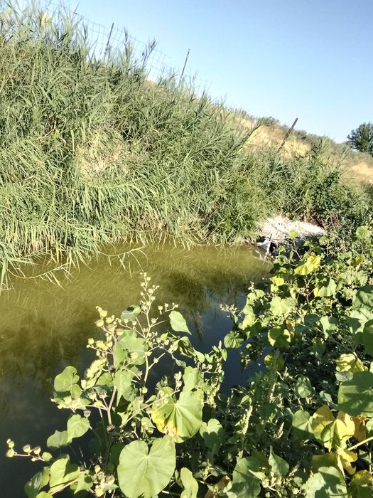 Дача в Раёне Бесагаш