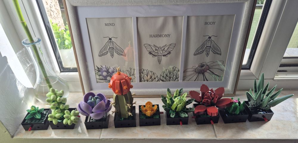 Lego Botanical Suculente