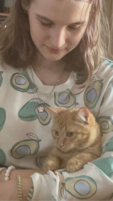 Отдам кошечку стерилизованную